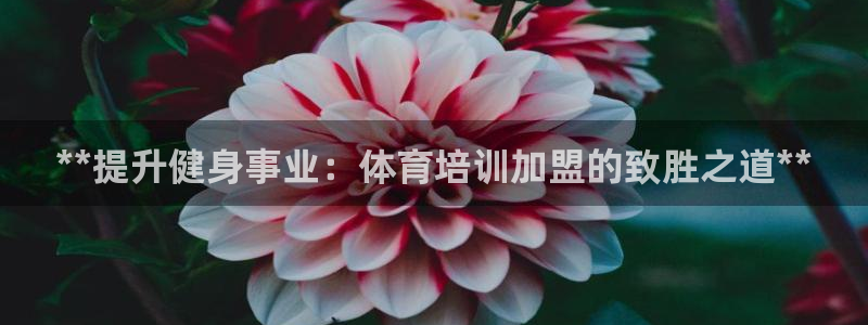 欧陆娱乐能赚钱吗知乎：**提升健身事业：体育培训加盟