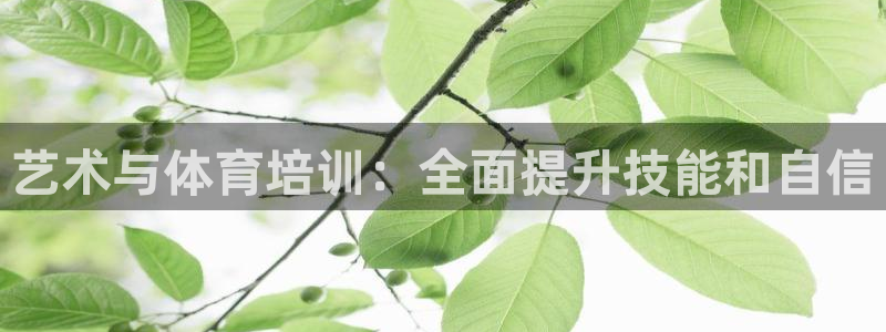 欧陆娱乐测试网站：艺术与体育培训：全面提升技能和自信