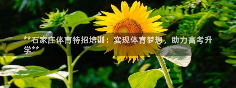 欧陆娱乐客服电话：**石家庄体育特招培训：实现体育梦