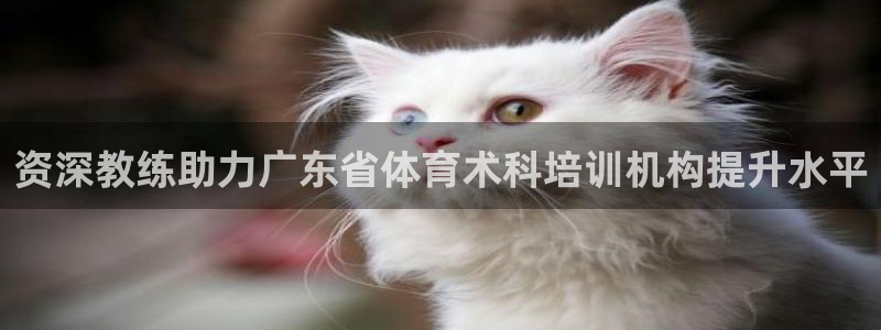 欧陆娱乐是资金盘吗：资深教练助力广东省体育术科培训机