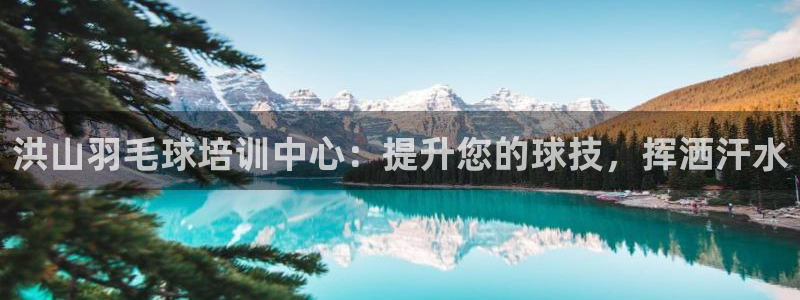 欧陆游戏平台：洪山羽毛球培训中心：提升您的球技，挥洒