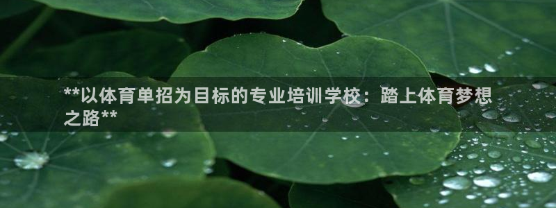 欧陆娱乐挂机怎么玩：**以体育单招为目标的专业培训学