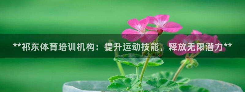 欧陆娱乐注册链接怎么弄的：**祁东体育培训机构：提升