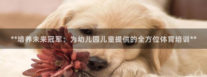 欧陆娱乐平台登陆地址是什么意思：**培养未来冠军：为