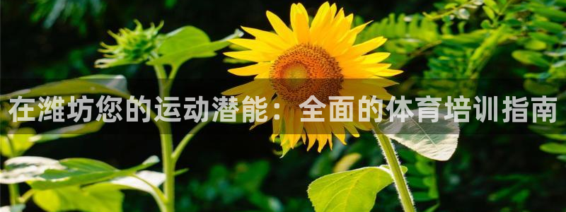 欧陆娱乐官方下载安装：在潍坊您的运动潜能：全面的体育