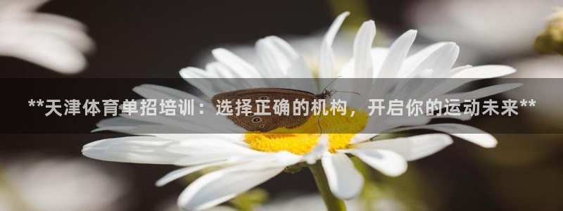 欧陆公司在哪里：**天津体育单招培训：选择正确的机构