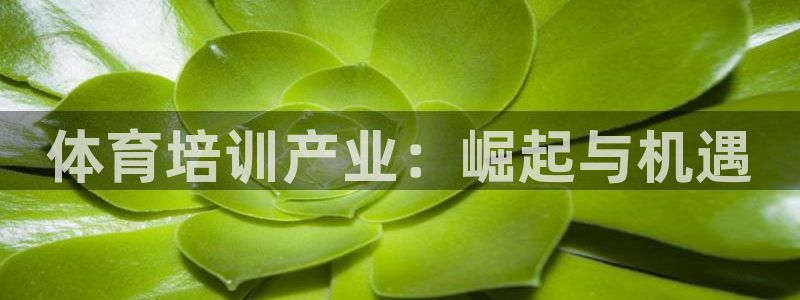 欧陆娱乐怎么样：体育培训产业：崛起与机遇