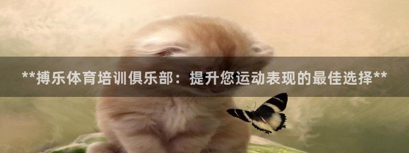 欧陆娱乐平台登录：**搏乐体育培训俱乐部：提升您运动
