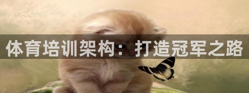 欧陆娱乐app攻略大全：体育培训架构：打造冠军之路