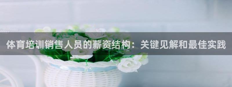 欧陆娱乐平台登录：体育培训销售人员的薪资结构：关键见
