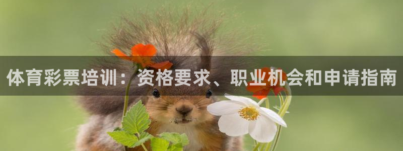 欧陆娱乐有限公司招聘：体育彩票培训：资格要求、职业机会和申请