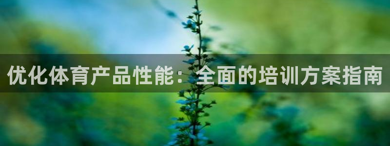 欧陆娱乐打什么方案赚钱：优化体育产品性能：全面的培训