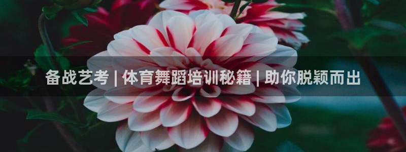 欧陆娱乐客服服务怎么样