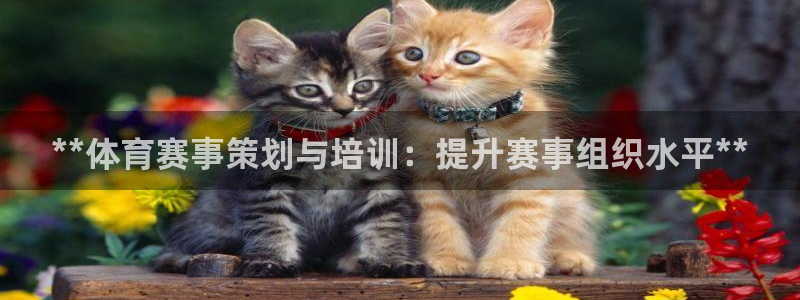 欧陆娱乐天富主管：**体育赛事策划与培训：提升赛事组