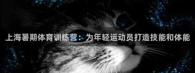 欧陆娱乐登录平台：上海暑期体育训练营：为年轻运动员打