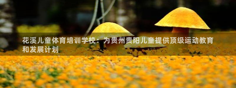 欧陆娱乐公司产品介绍图片：花溪儿童体育培训学校：为贵