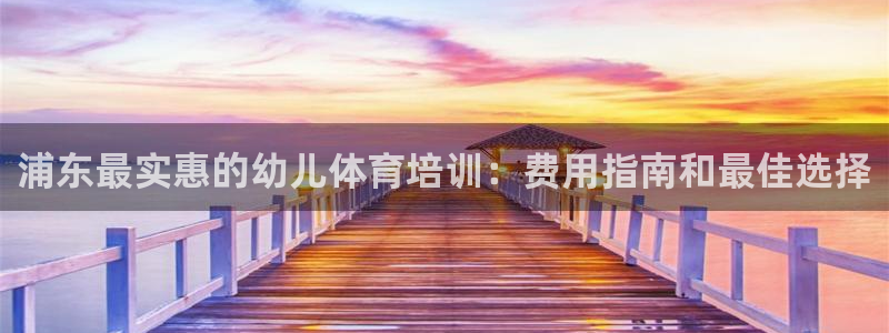 欧陆娱乐的故事：浦东最实惠的幼儿体育培训：费用指南和