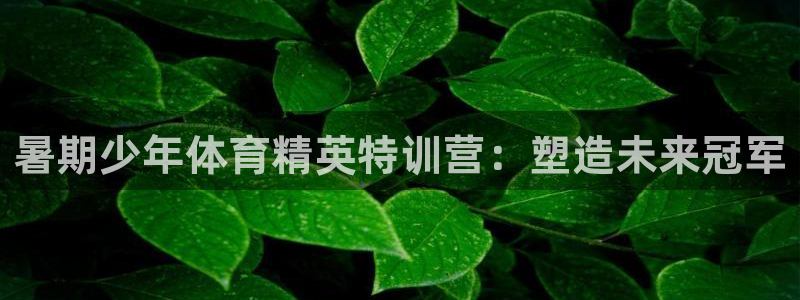 欧陆娱乐平台咋样啊安全吗：暑期少年体育精英特训营：塑