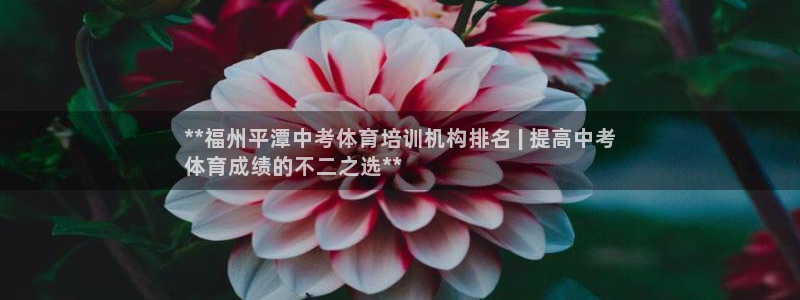 欧陆娱乐计划预测软件