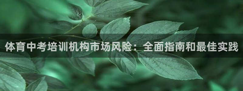 欧陆娱乐注册链接安全吗是真的吗：体育中考培训机构市场