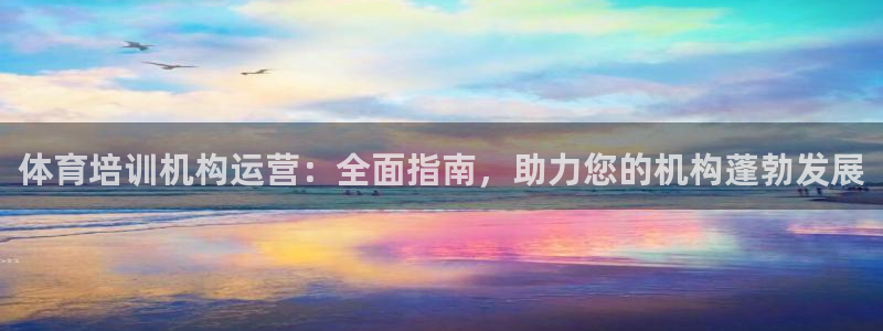 欧陆娱乐客服电话：体育培训机构运营：全面指南，助力您