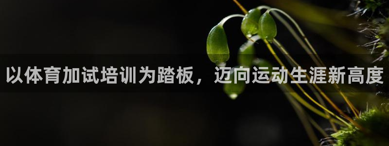 欧陆娱乐注册代理：以体育加试培训为踏板，迈向运动生涯