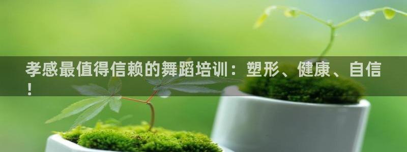 欧陆娱乐登录注册平台官网：孝感最值得信赖的舞蹈培训：