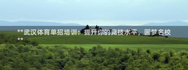 欧陆娱乐怎么注册帐号啊：**武汉体育单招培训：提升你