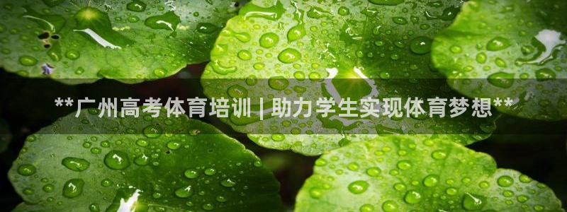 欧陆娱乐注册链接：**广州高考体育培训 | 助力学生