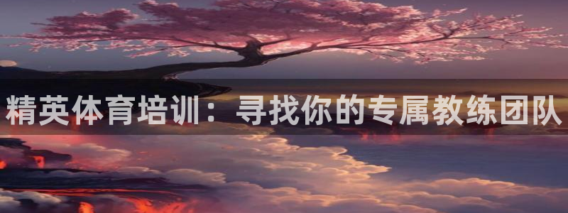 欧陆娱乐会员有什么用：精英体育培训：寻找你的专属教练团队