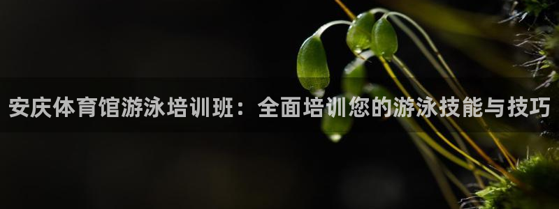 欧陆娱乐能赚钱吗知乎：安庆体育馆游泳培训班：全面培训