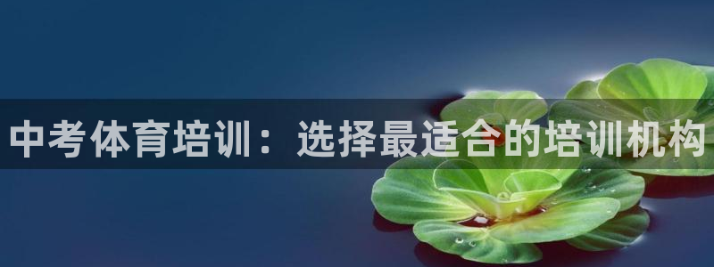 欧陆娱乐登陆平台：中考体育培训：选择最适合的培训机构