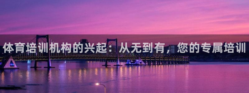 欧陆娱乐请输入USDT地址：体育培训机构的兴起：从无到有，您