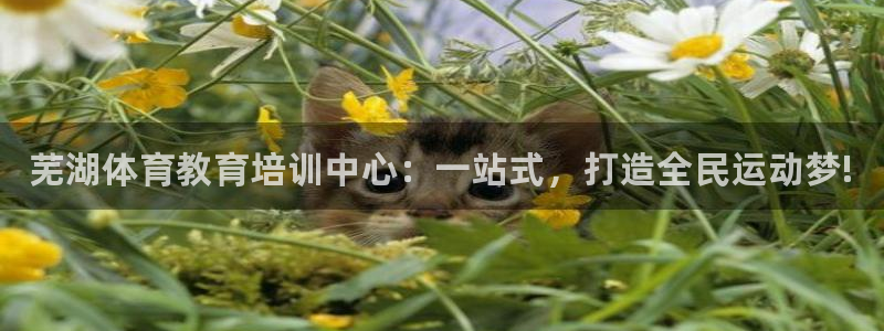 欧陆娱乐app下载安装：芜湖体育教育培训中心：一站式