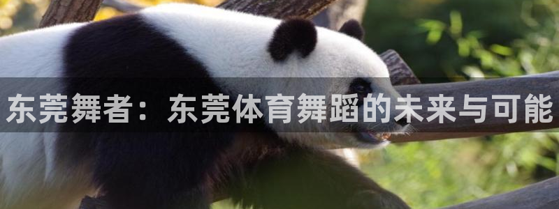 欧陆娱乐客服电话人工服务号码：东莞舞者：东莞体育舞蹈