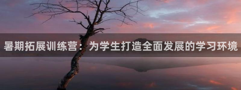 欧陆娱乐注册链接怎么弄的：暑期拓展训练营：为学生打造全面发展