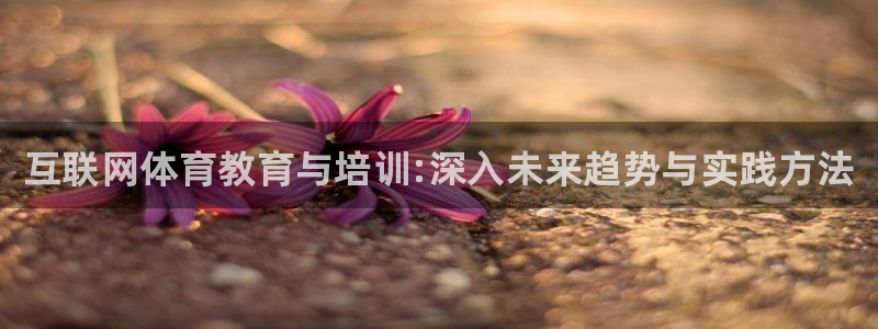 欧陆娱乐注册代理：互联网体育教育与培训:深入未来趋势与实践方