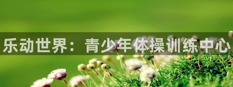 欧陆游戏平台：乐动世界：青少年体操训练中心
